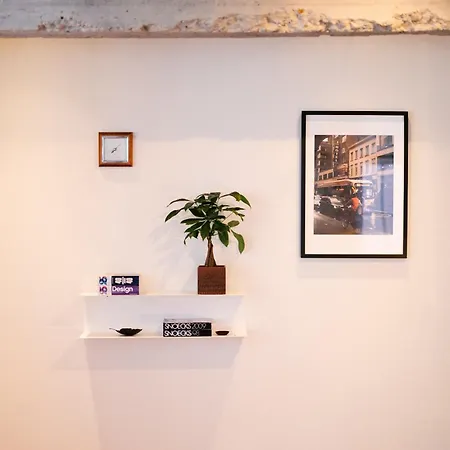 Aplace - Marvellous Flats & - Leeuwenstraat 20 * Antwerp