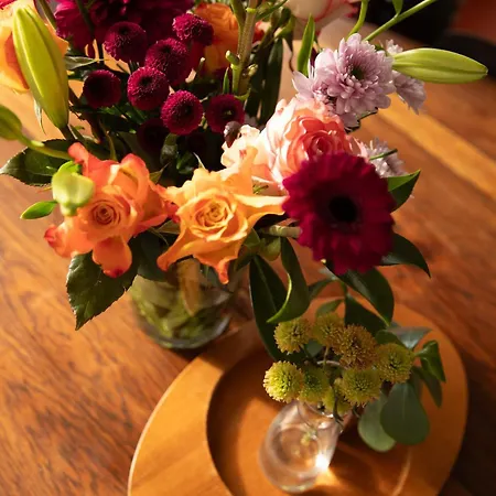 A Place - Boutique & Flats - Leeuwenstraat 20 アパート アントウェルペン